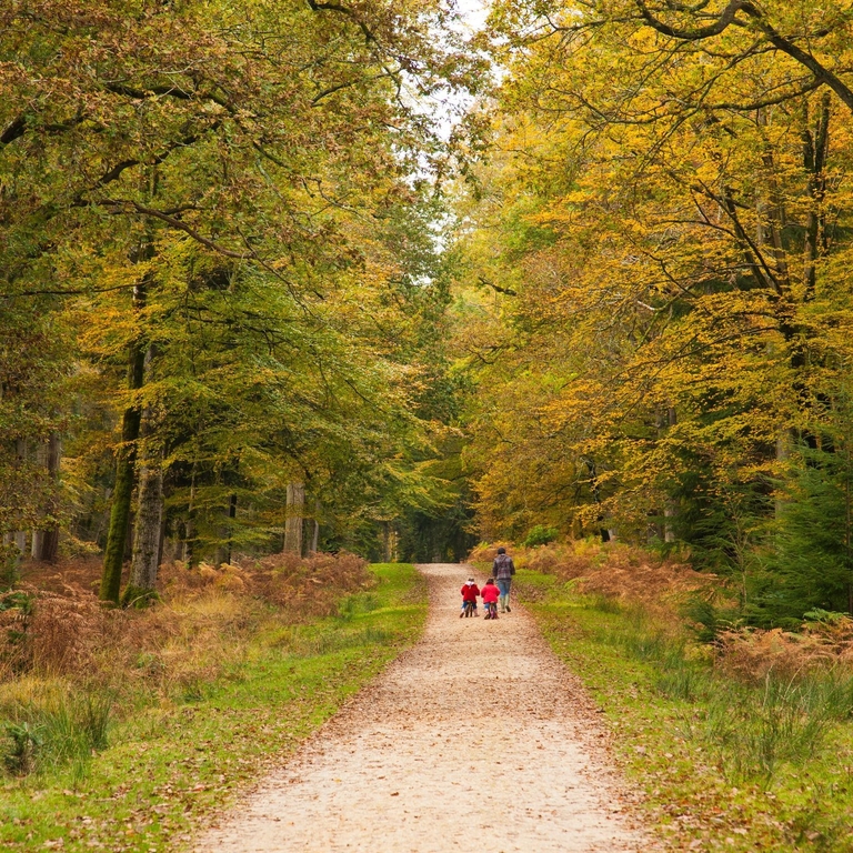Mother and children walking along a path in the New Forest in early Autumn