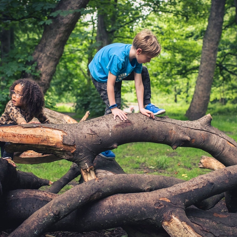 Children climbing over a fallen branch in Heaton Park, Newcastle
