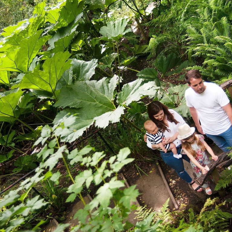 Family walking through vegetation at Durham University Botanic Garden