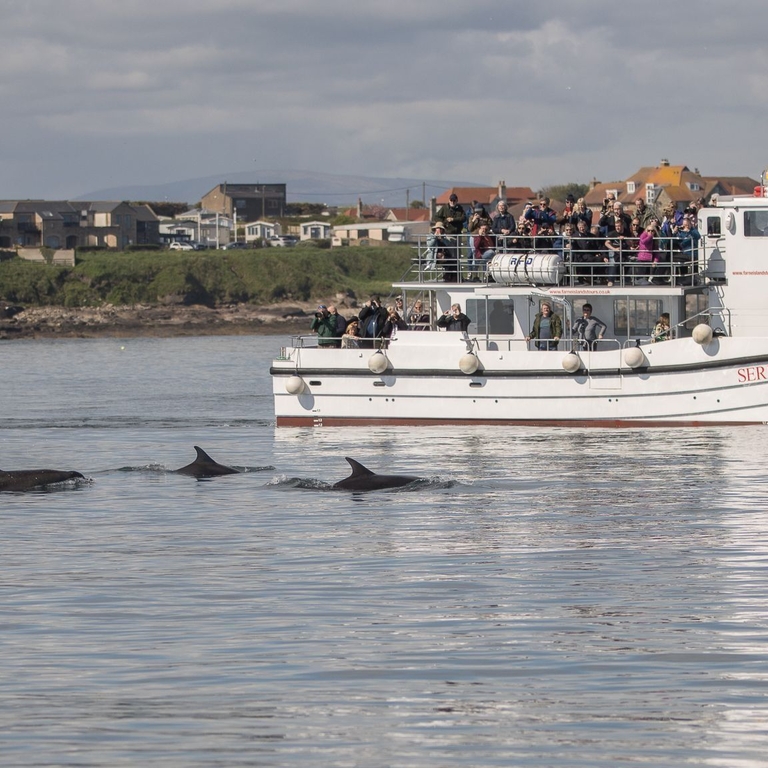 The Serenity IV boat from Serenity Farne Island Boat Trips, Northumberland. 