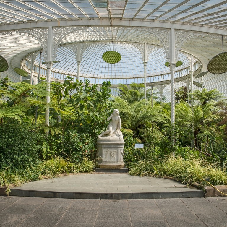 Lush green plants surrounding a statue in Kibble Palace in the Glasgow Botanic Gardens