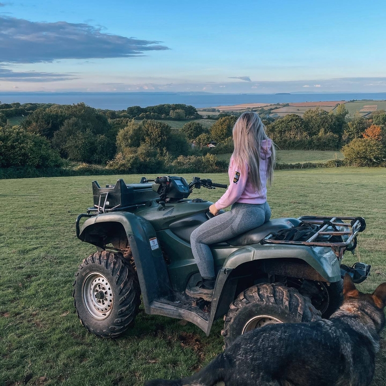Open fields at Quantock Hills