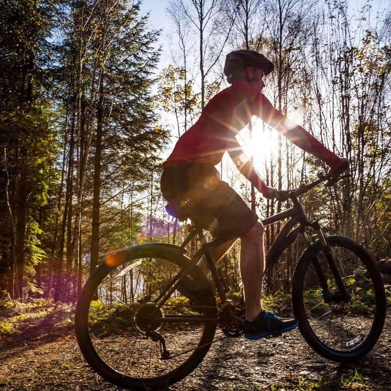 A person on a bicycle using a wide cycle path between trees