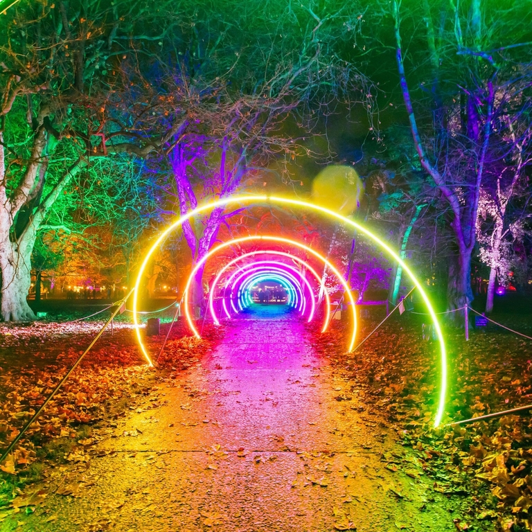 Colourful light installation across a path in a park at night