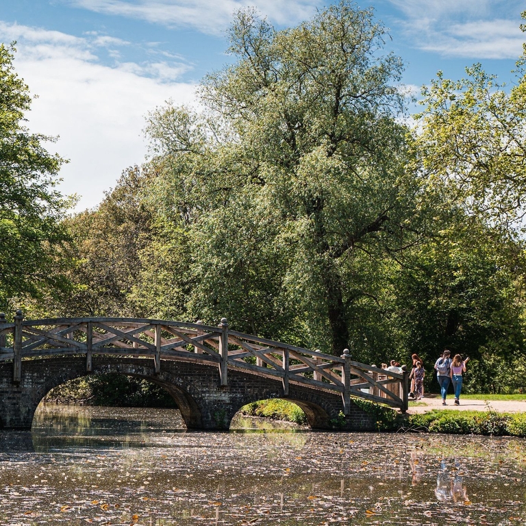 A wooden bridge over water, surrounded by trees