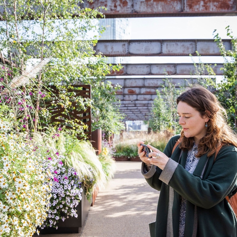 A woman taking a picture of plants and flowers in the gardens of Castlefield Viaduct, Manchester
