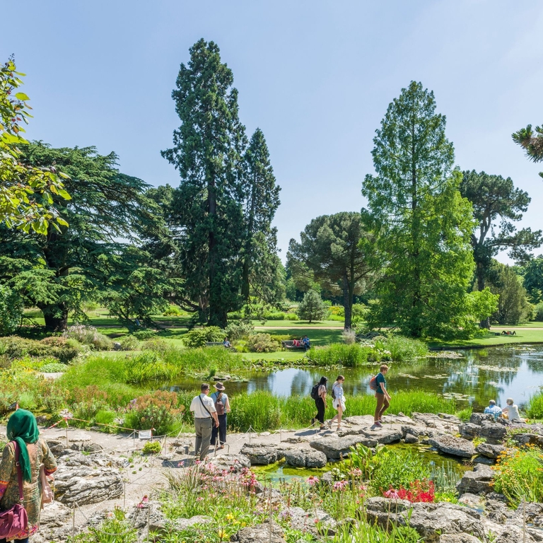 People strolling through gardens and past a pond in a Botanic Gardens.