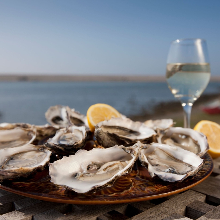 Plate of shucked oysters with a slice of lemon on table