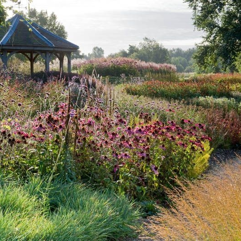 Wildflower and grasslands with pathways in between and a band-stand style structure in the background
