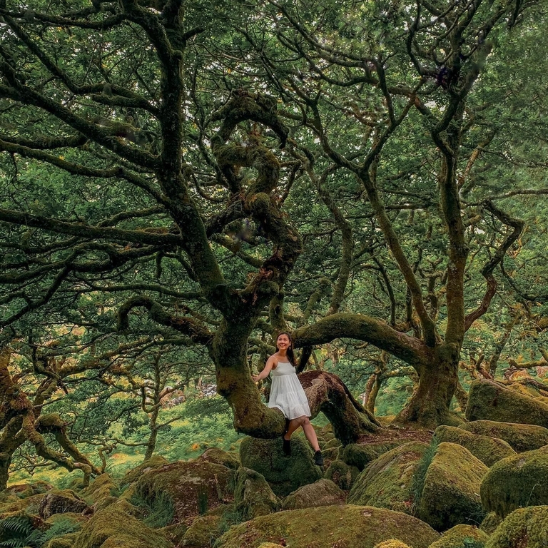 Woman in white dress walking over rocks below lush green trees
