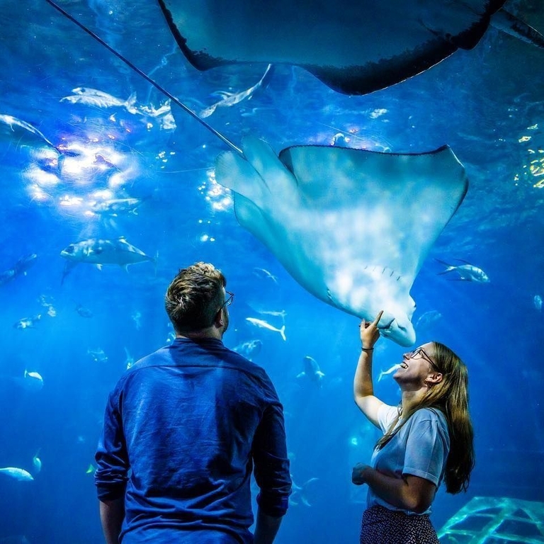 Spring-National Marine Aquarium