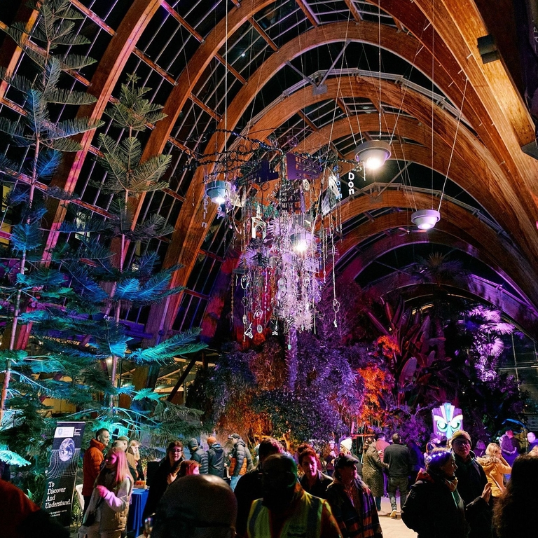 An art display at night inside Sheffield Winter Garden