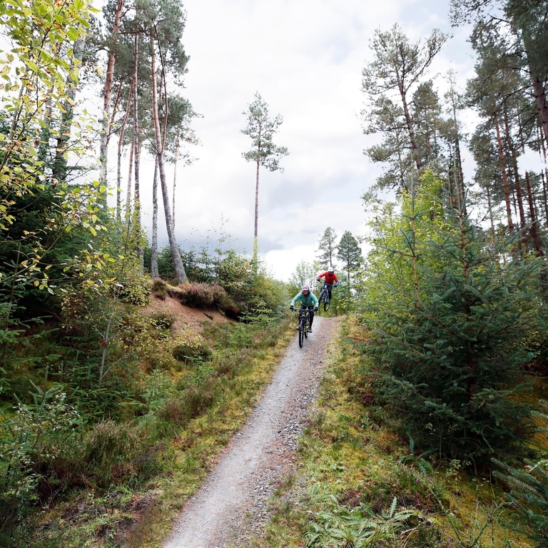 A male and female mountain biker cycling along a forest bike trail in the Scottish Highlands