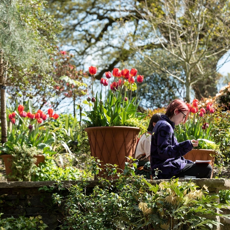 People resting in a garden setting.