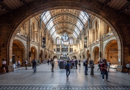 Musée d'Histoire Naturelle