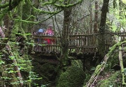 Puzzlewood: Star Wars and Doctor Who