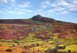 Dartmoor National Park
