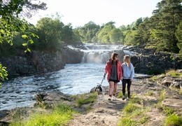 Low Force Waterfall