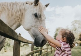 Fishers Adventure Farm Park