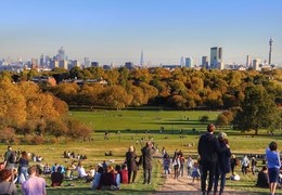 Primrose Hill