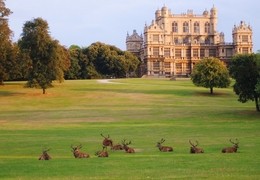 Wollaton Hall