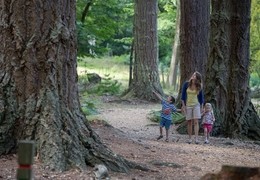 Bolderwood Deer Sanctuary