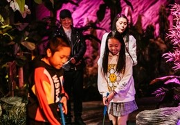 Treetop Adventure Golf