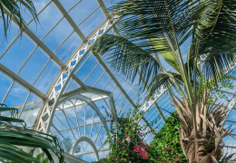 Sefton Park Palm House