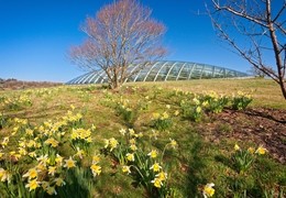 National Botanic Garden of Wales