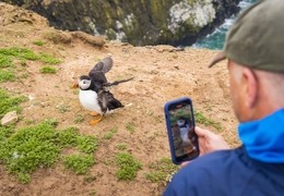 Skomer Island