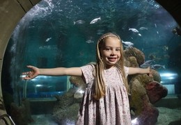 Blue Reef Aquarium