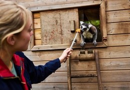 Askham Bryan Wildlife & Conservation Park
