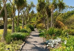 Logan Botanic Garden