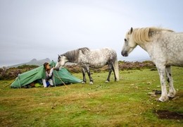 Wild camping on Dartmoor