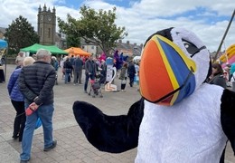 Amble Puffin Festival