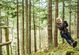 A woman travelling on a zipwire among the pine trees