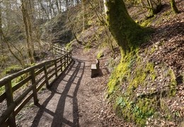 Calderglen Country Park
