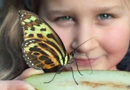 Stratford-upon-Avon Butterfly Farm