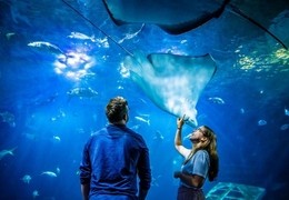 National Marine Aquarium