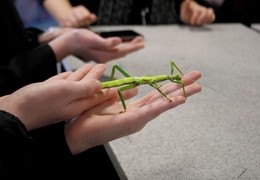 Dr Beynon's Bug Farm