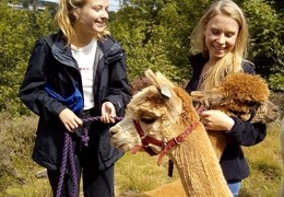 Holly Hagg Alpaca Treks