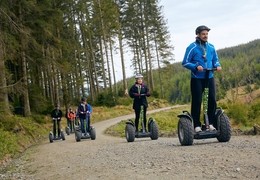 Go Ape Grizedale Forest