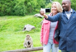 Trentham Monkey Forest