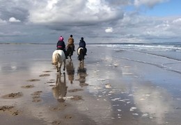 Horse riding on the Northumberland coast