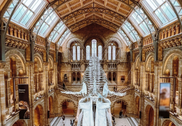 Natural History Museum
