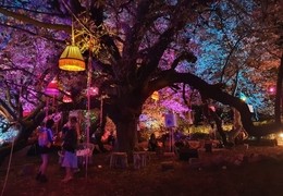Latitude Festival