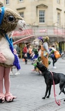 A dog and a performer in a mouse costume as part of Bath Fringe Festival