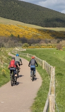 Tweed Valley Railway Path