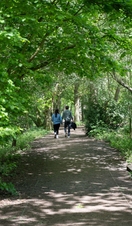 A couple walking along a tree shaded path in Hartsholme Country Park, Lincoln