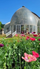 Bicton Park Botanical Gardens